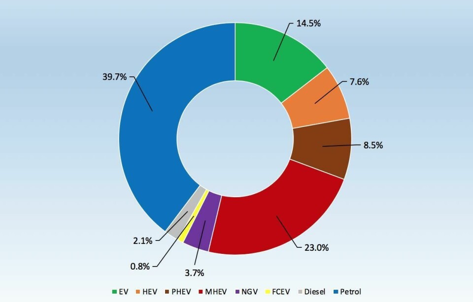 Global powertrain market share mix forecast (2030)Electrification will transmit major supplier changes. Download our global forecast of all powertrain types here Global powertrain mix 2030